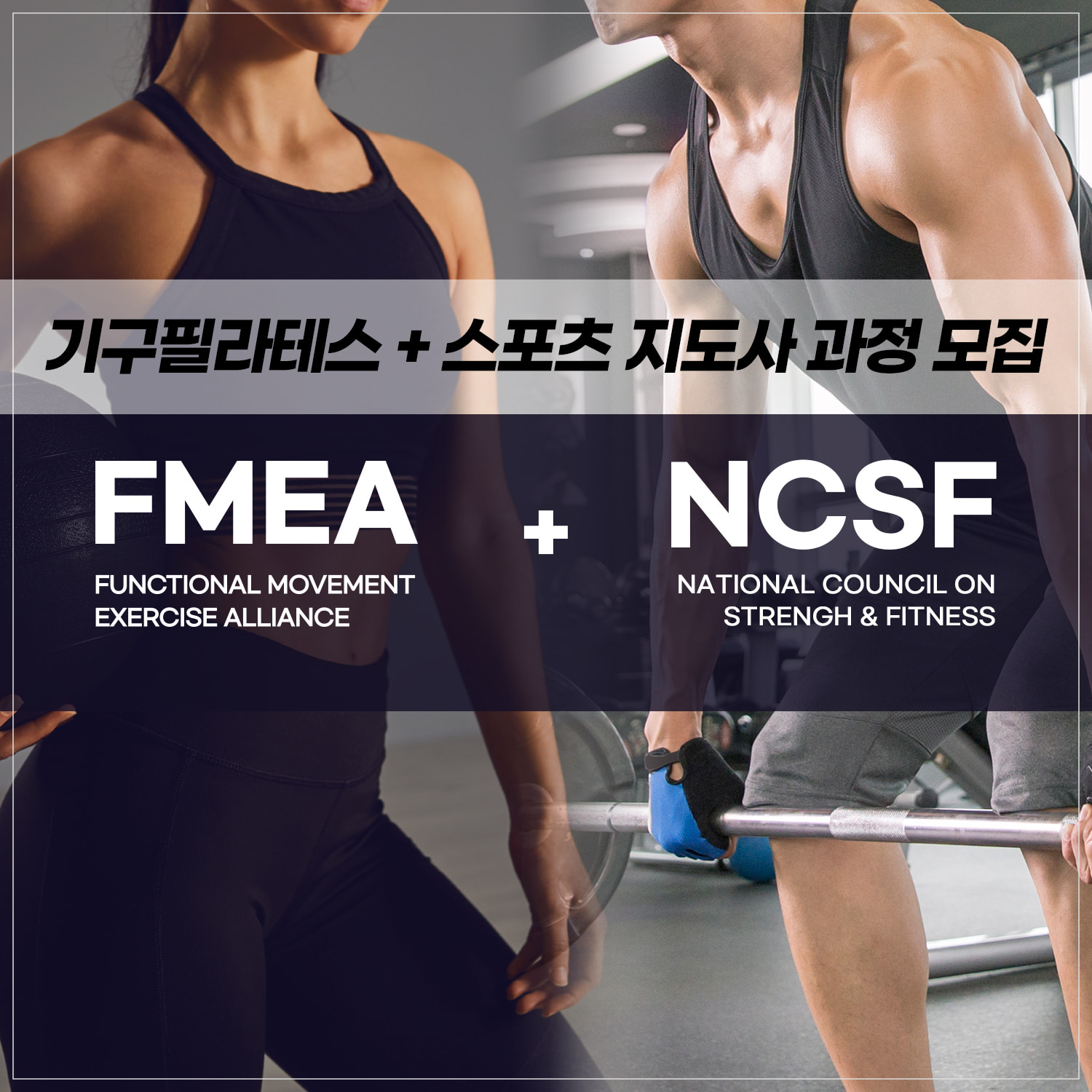 [자격증] FMEA 기구필라테스 + NCSF 스포츠 지도사 과정